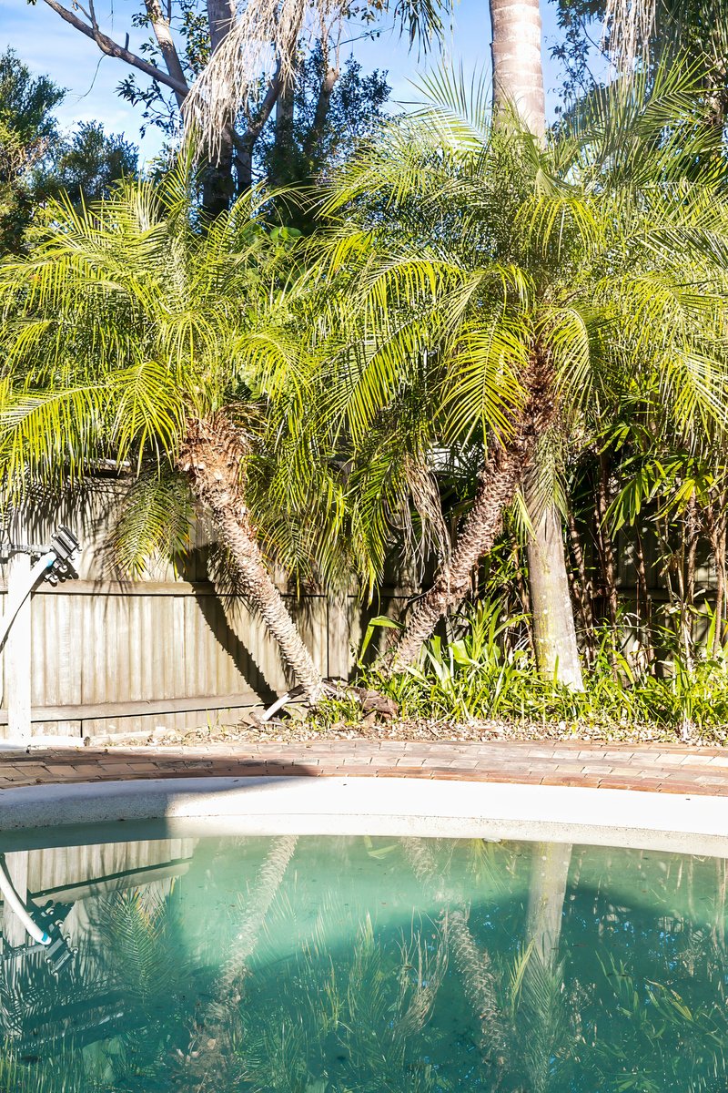 Photo - 37 Gympie Street, Tewantin QLD 4565 - Image 16