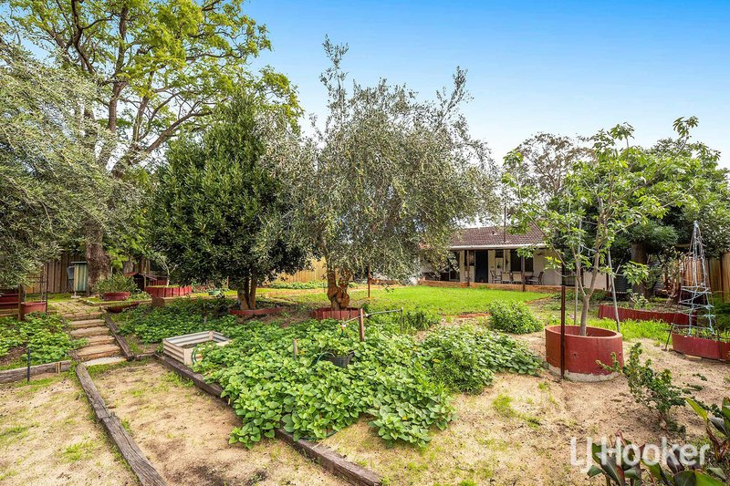 Photo - 37 Helm Street, Maddington WA 6109 - Image 17