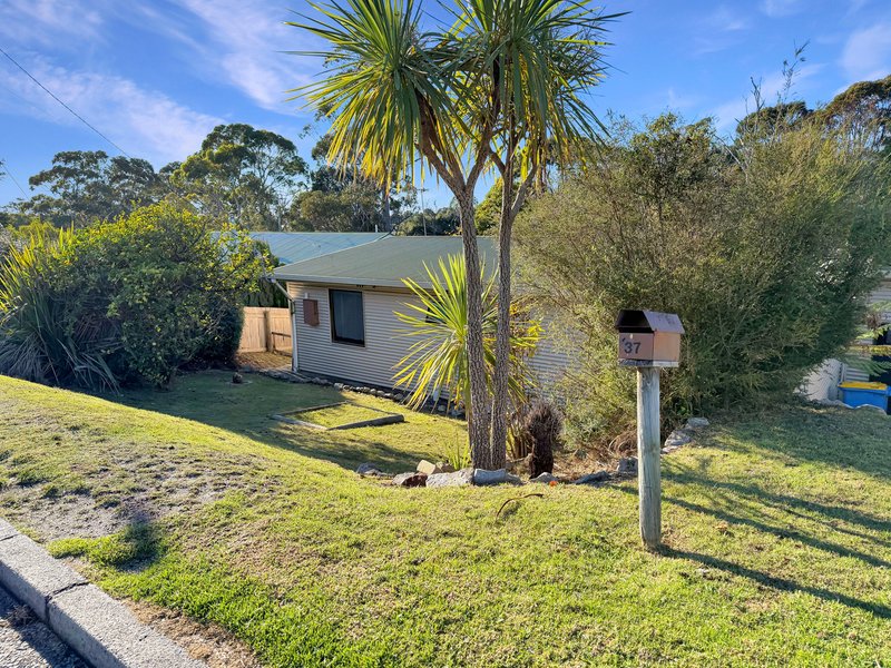 Photo - 37 Lawry Heights, St Helens TAS 7216 - Image 2