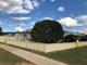 Photo - 37 Logan Street, Cowra NSW 2794 - Image 1