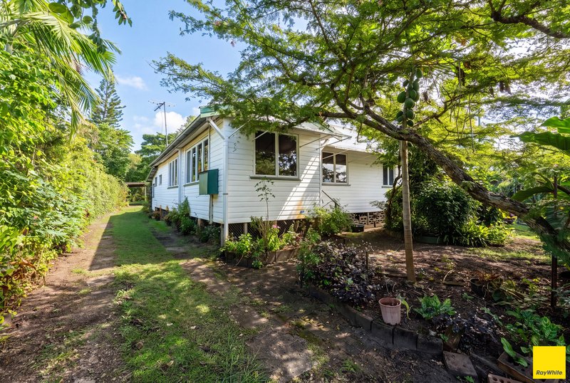 Photo - 37 Machan Street, Machans Beach QLD 4878 - Image 3