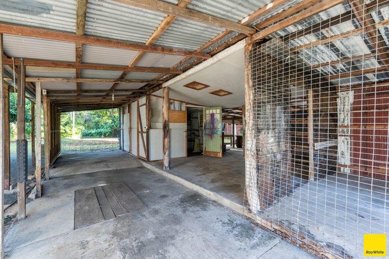 Photo - 37 Machan Street, Machans Beach QLD 4878 - Image 22