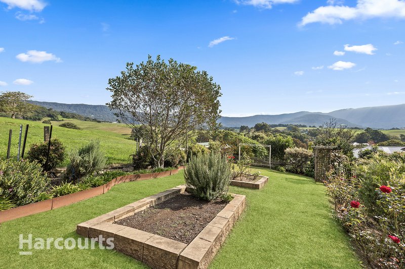 Photo - 37 Macquarie Street, Jamberoo NSW 2533 - Image 6