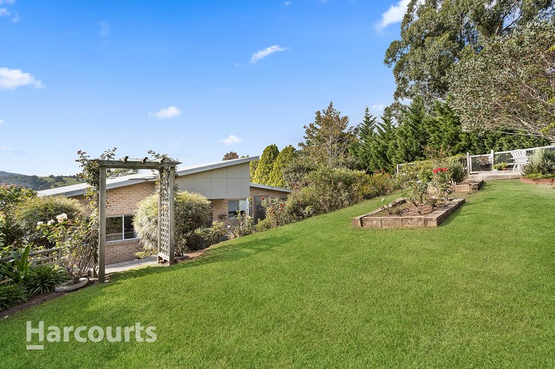 Photo - 37 Macquarie Street, Jamberoo NSW 2533 - Image 9