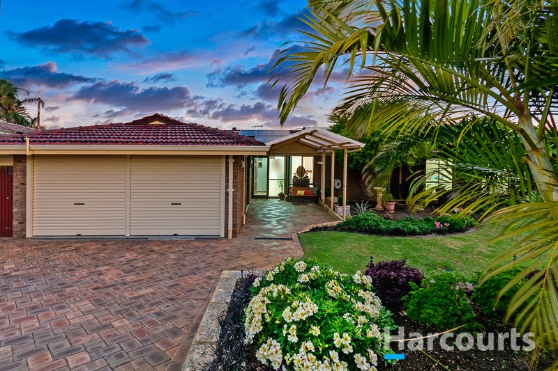 Photo - 37 Maradu Crescent, Wanneroo WA 6065 - Image 17