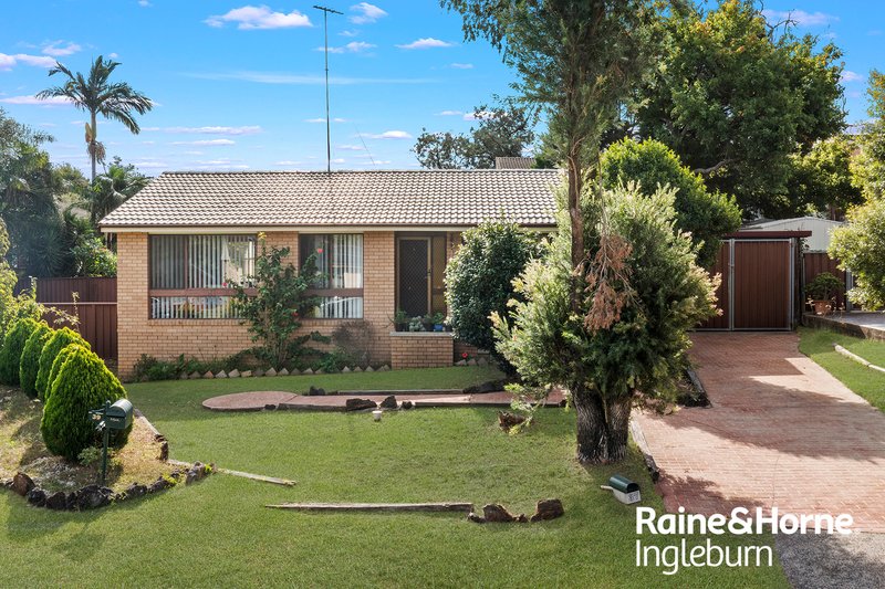 Photo - 37 Naylor Place, Ingleburn NSW 2565 - Image 4