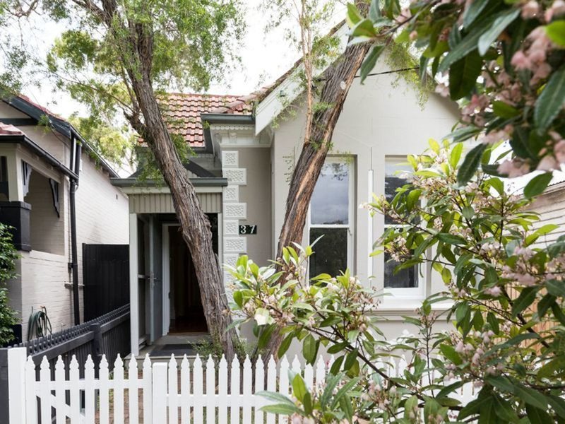 Photo - 37 Pigott Street, Dulwich Hill NSW 2203 - Image 6