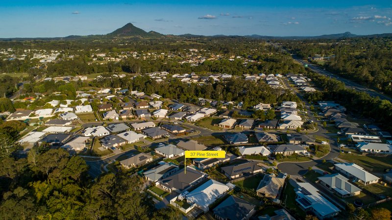 Photo - 37 Pine Street, Cooroy QLD 4563 - Image 17