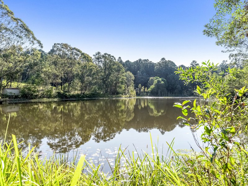 Photo - 37 Platypus Drive, Uralba NSW 2477 - Image 4