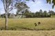 Photo - 37 Power Rd , Southside QLD 4570 - Image 5