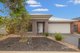 Photo - 37 Rapa Drive, Tarneit VIC 3029 - Image 1