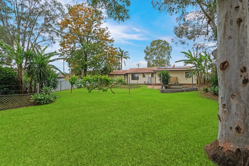 Photo - 37 Regiment Road, Rutherford NSW 2320 - Image 16