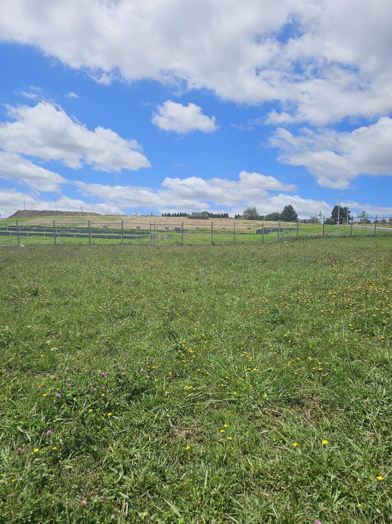 Photo - 37 Rosella Street, Moss Vale NSW 2577 - Image 3