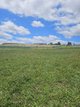 Photo - 37 Rosella Street, Moss Vale NSW 2577 - Image 3