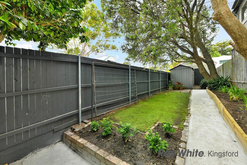 Photo - 37 Rowe Street, Woollahra NSW 2025 - Image 5