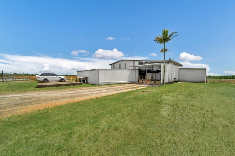 Photo - 37 South Johnstone Road, Boogan QLD 4871 - Image 16