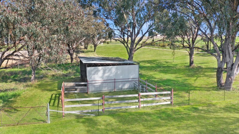 Photo - 37 South Street, Quirindi NSW 2343 - Image 21