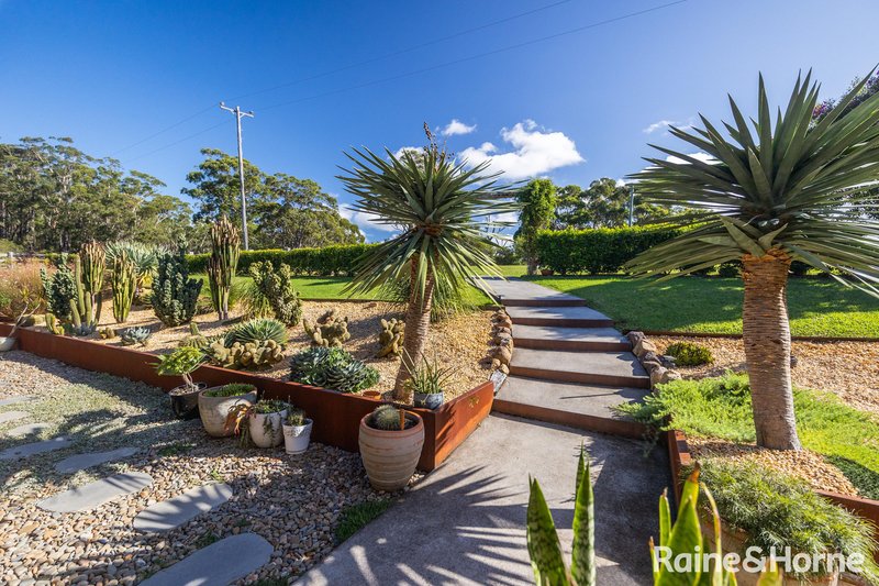 Photo - 37 Tallow Wood Road, Woodstock NSW 2538 - Image 24