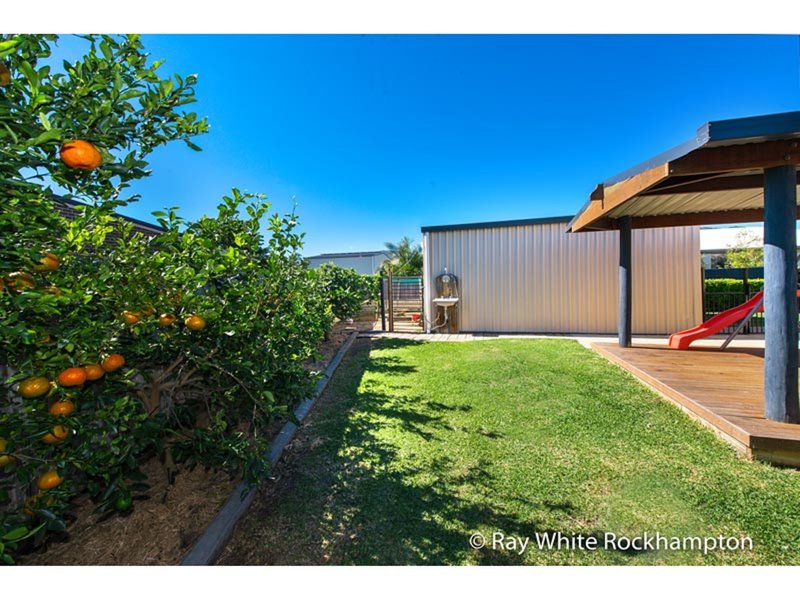 Photo - 37 Tamarind Avenue, Norman Gardens QLD 4701 - Image 12