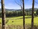 Photo - 37 Tobys Hill Road, Cygnet TAS 7112 - Image 14