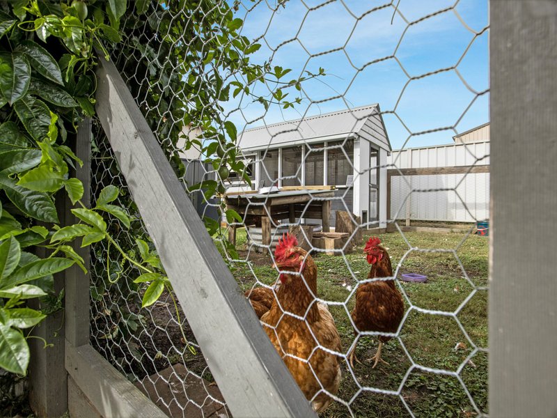 Photo - 37 Tomalpin Street, Kearsley NSW 2325 - Image 14
