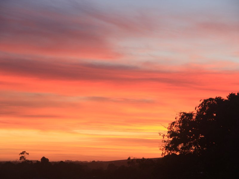 Photo - 37 Tulloh Street, Elliminyt VIC 3250 - Image 18