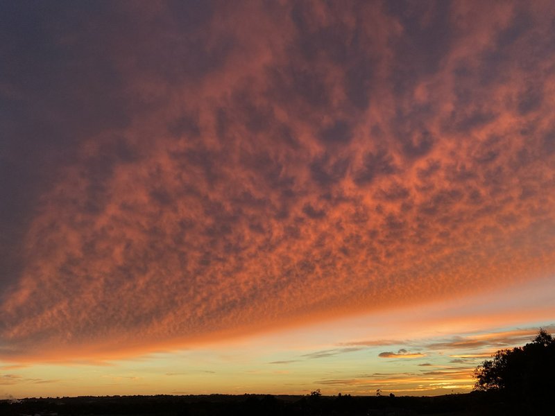 Photo - 37 Tulloh Street, Elliminyt VIC 3250 - Image 19