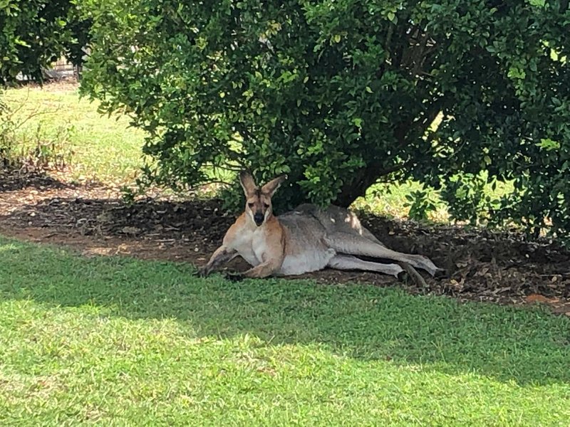 Photo - 37 Wintergreen Way, Peachester QLD 4519 - Image 5