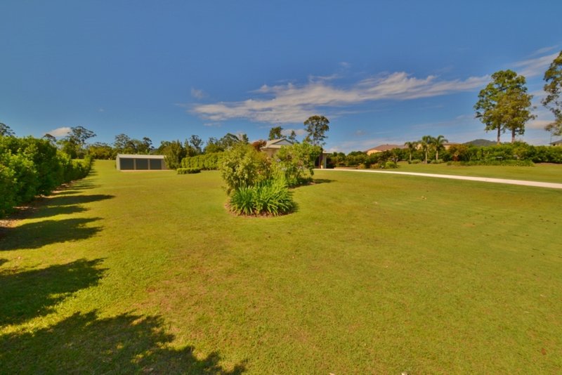 Photo - 37 Wintergreen Way, Peachester QLD 4519 - Image 26