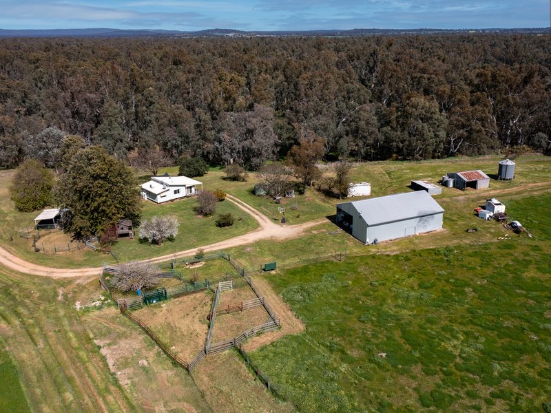 Photo - 370 Carmody Road, Boorhaman North VIC 3685 - Image 3