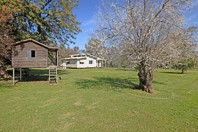 Photo - 370 Carmody Road, Boorhaman North VIC 3685 - Image 16