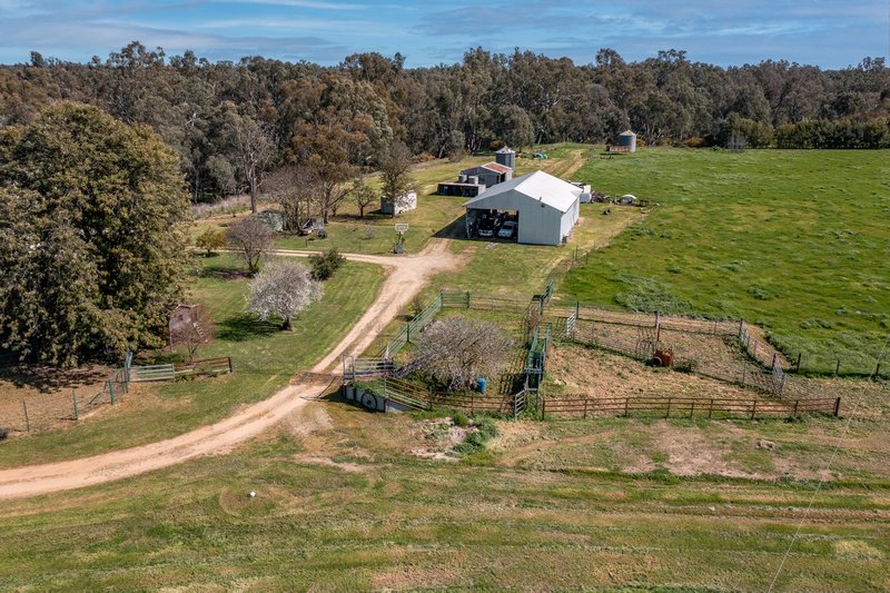 Photo - 370 Carmody Road, Boorhaman North VIC 3685 - Image 31