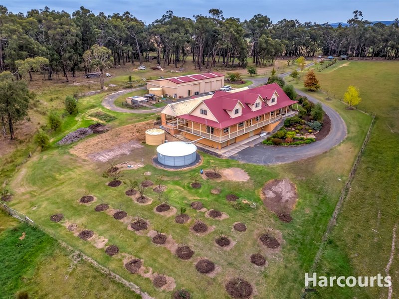 Photo - 370 Colleys Road, Yinnar South VIC 3869 - Image 5