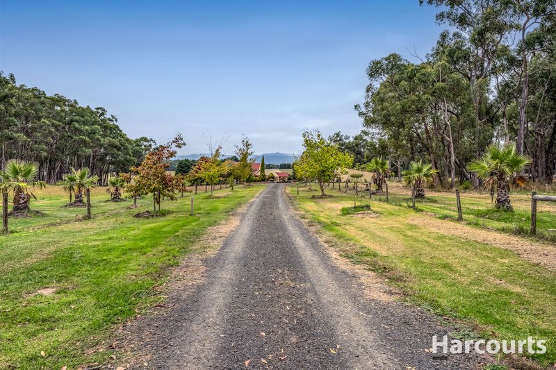 Photo - 370 Colleys Road, Yinnar South VIC 3869 - Image 7