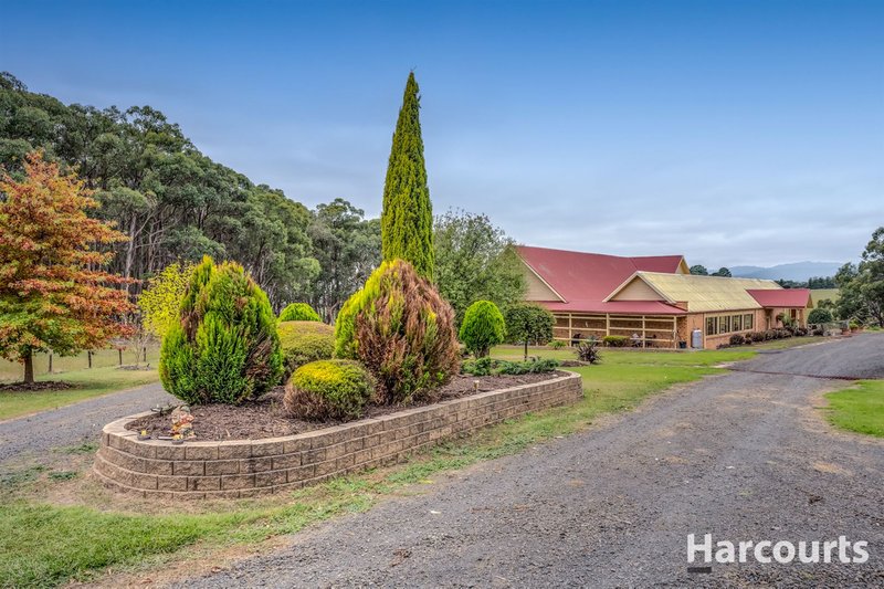 Photo - 370 Colleys Road, Yinnar South VIC 3869 - Image 8