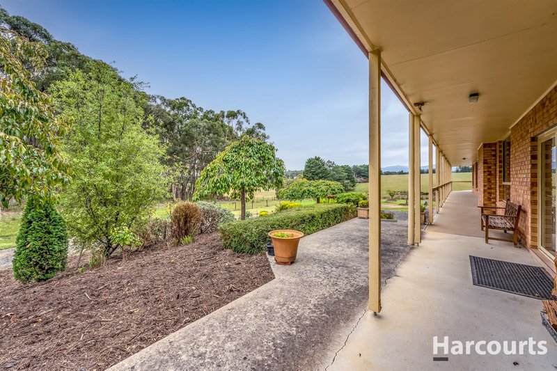 Photo - 370 Colleys Road, Yinnar South VIC 3869 - Image 11