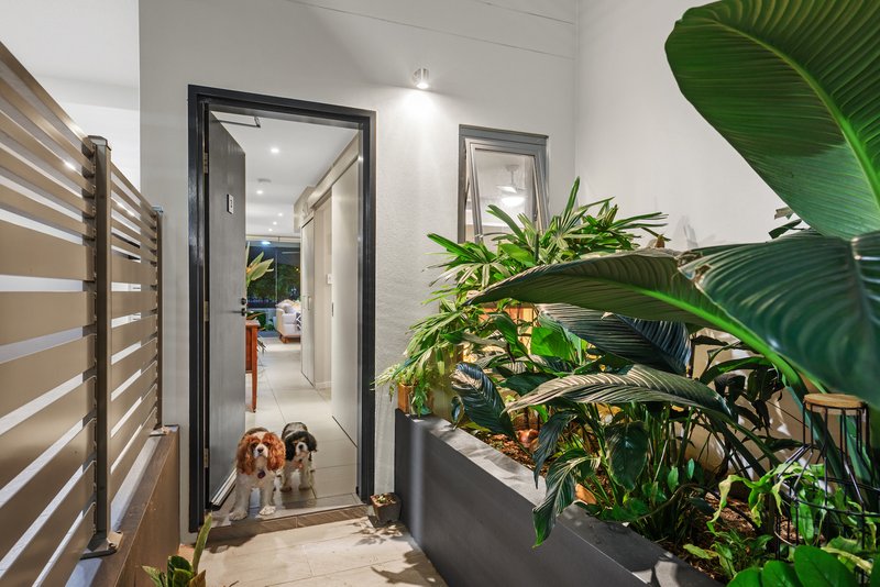 Photo - 3/70 Love Street, Bulimba QLD 4171 - Image 12