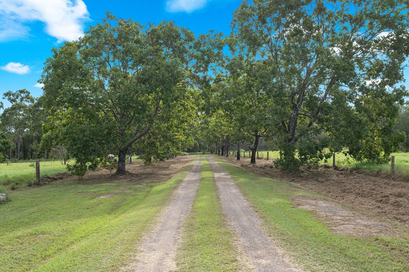 Photo - 370 Mungomery Road, Takura QLD 4655 - Image 3