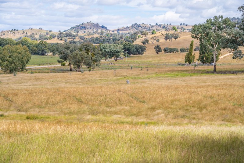 3705 Frogmore Road (Hovells Creek) , Cowra NSW 2794