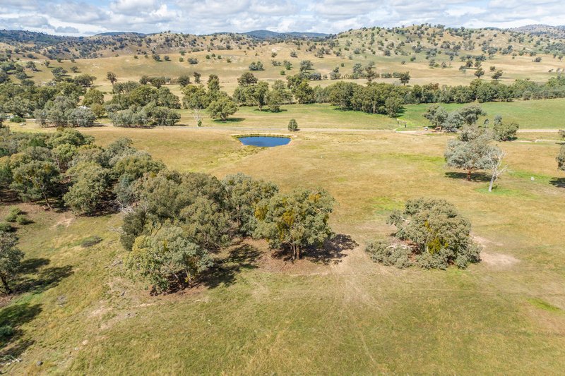 Photo - 3705 Frogmore Road (Hovells Creek) , Cowra NSW 2794 - Image 3