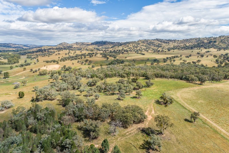 Photo - 3705 Frogmore Road (Hovells Creek) , Cowra NSW 2794 - Image 4