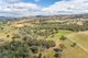 Photo - 3705 Frogmore Road (Hovells Creek) , Cowra NSW 2794 - Image 4