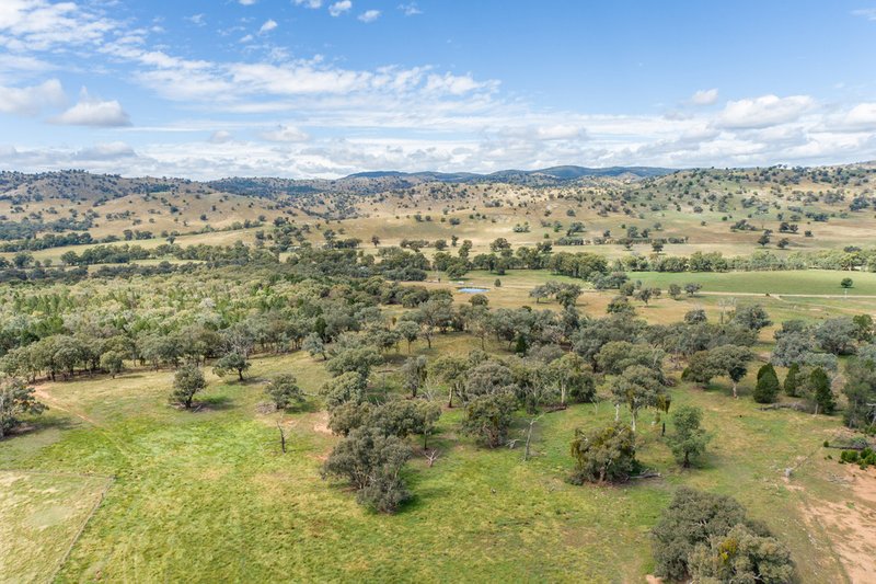 Photo - 3705 Frogmore Road (Hovells Creek) , Cowra NSW 2794 - Image 5