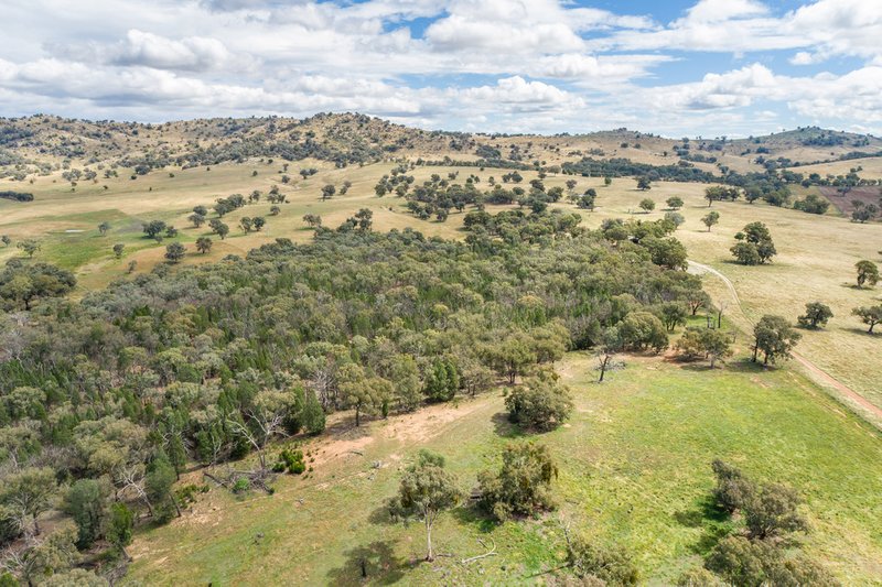 Photo - 3705 Frogmore Road (Hovells Creek) , Cowra NSW 2794 - Image 7