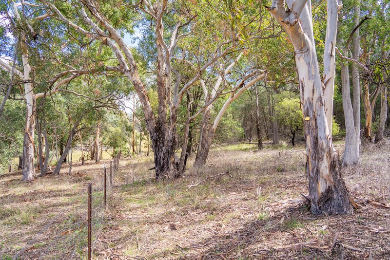 Photo - 3705 Frogmore Road (Hovells Creek) , Cowra NSW 2794 - Image 8