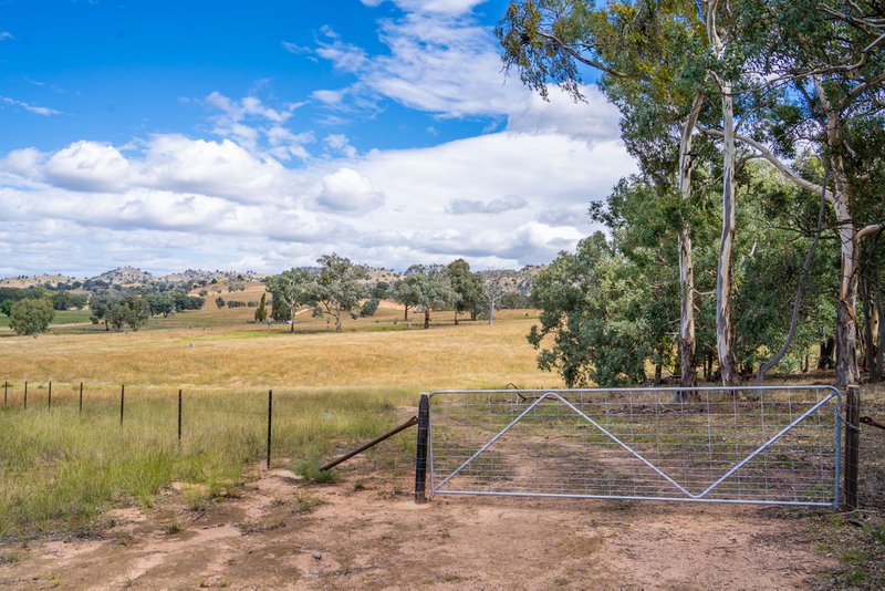 Photo - 3705 Frogmore Road (Hovells Creek) , Cowra NSW 2794 - Image 9