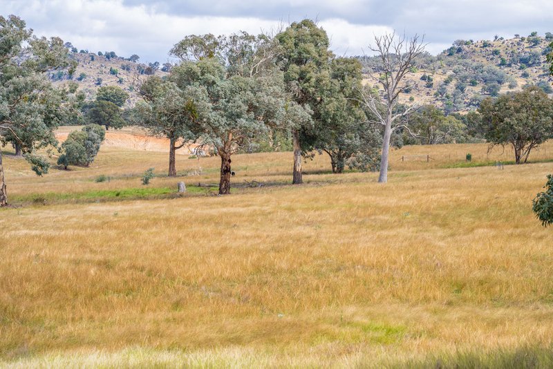 Photo - 3705 Frogmore Road (Hovells Creek) , Cowra NSW 2794 - Image 10