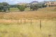 Photo - 3705 Frogmore Road (Hovells Creek) , Cowra NSW 2794 - Image 11