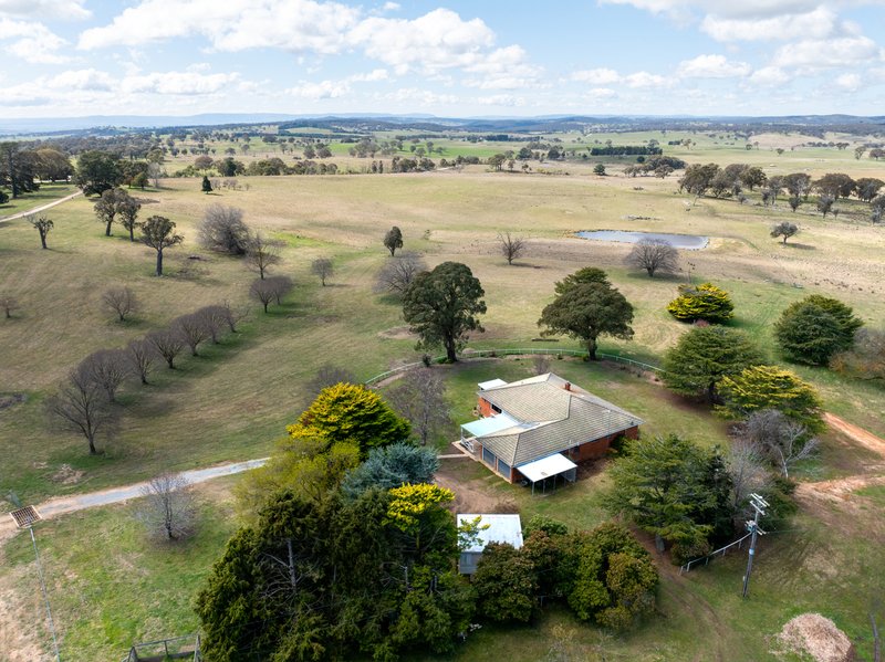 Photo - 371 Caloola Road, Bathurst NSW 2795 - Image 12