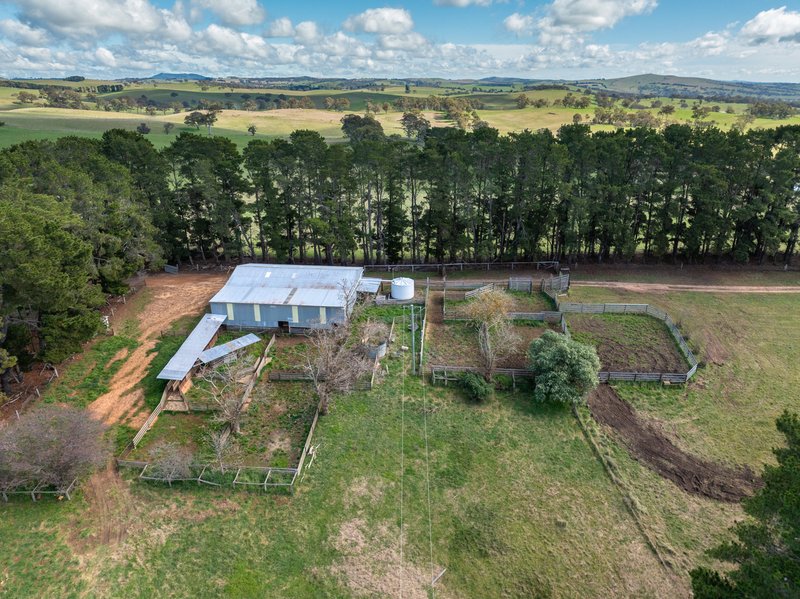 Photo - 371 Caloola Road, Bathurst NSW 2795 - Image 34